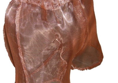 Copper Shorts 1